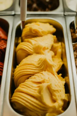 Affitto ramo Gelateria