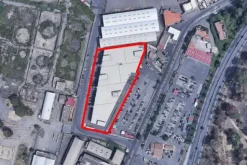 #12459 Ampia struttura commerciale