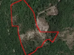 #16028 Appezzamenti di terreno agricolo destinati a tartufaia
