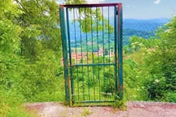 #20924 Appezzamento agricolo collinare di 5270 mq