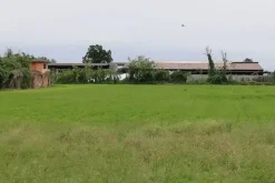 #13092 Appezzamento agricolo e cascina collabente