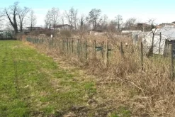 #25332 Appezzamento agricolo in area tutelata