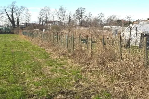 #25332 Appezzamento agricolo in area tutelata