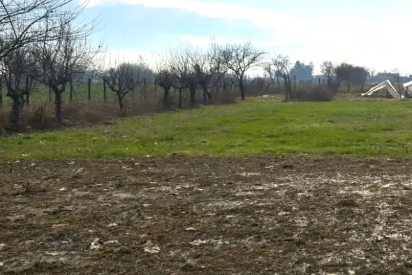 #25332 Appezzamento agricolo in area tutelata