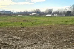 #25332 Appezzamento agricolo in area tutelata