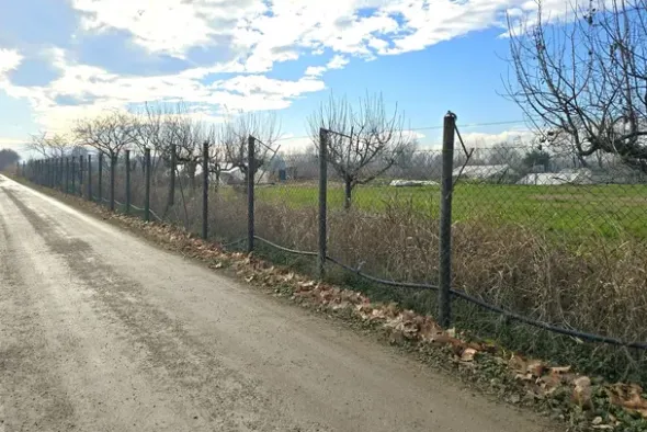 #25332 Appezzamento agricolo in area tutelata