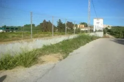 #2638308 Appezzamento agricolo incolto di 3225 mq