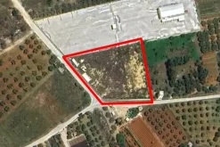#2638308 Appezzamento agricolo incolto di 3225 mq
