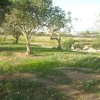 #2638307 Appezzamento agricolo incolto di 4945 mq