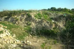 #2638307 Appezzamento agricolo incolto di 4945 mq