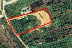 #2638307 Appezzamento agricolo incolto di 4945 mq