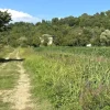 #24306 Appezzamento agricolo in zona periferica rurale