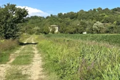 #24306 Appezzamento agricolo in zona periferica rurale