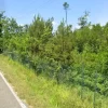 #24386 Appezzamento agricolo in zona boschiva