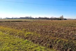 #22807 Appezzamento agricolo vicino alla ferrovia
