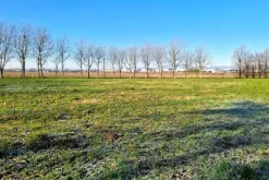 #22807 Appezzamento agricolo vicino alla ferrovia