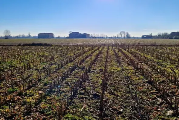 #22807 Appezzamento agricolo vicino alla ferrovia