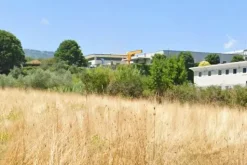 #25937 Appezzamento di 700 mq in area produttiva