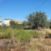 #20948 Appezzamento di terreno agricolo alberato