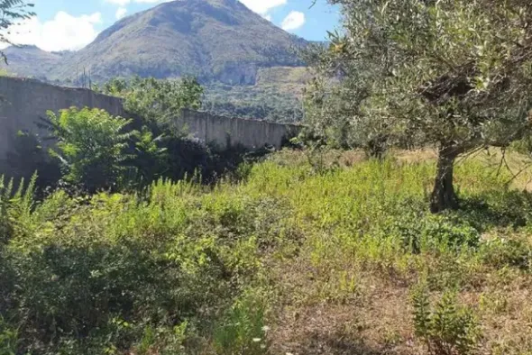 #20948 Appezzamento di terreno agricolo alberato