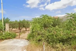 #20948 Appezzamento di terreno agricolo alberato