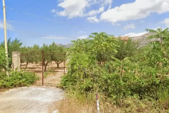 #20948 Appezzamento di terreno agricolo alberato