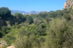 #21269 Appezzamento di terreno di 6660 mq