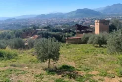 #21269 Appezzamento di terreno di 6660 mq