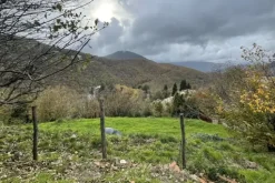 #23433 Appezzamento di terreno montano di 2480 mq