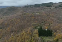 #23433 Appezzamento di terreno montano di 2480 mq