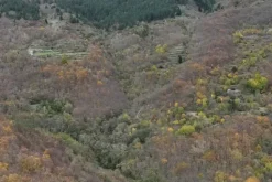 #23433 Appezzamento di terreno montano di 2480 mq
