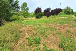 #24075 Area edificabile di 1349 mq in zona residenziale