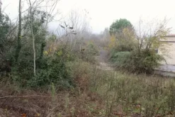 #22708 Area edificabile per lottizzazione residenziale