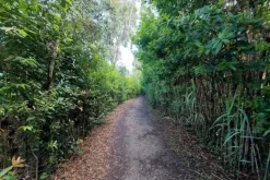#21170 Area residenziale e turistico-ricettiva da bonificare