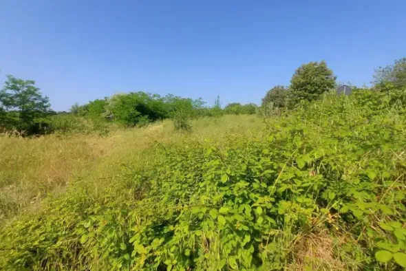 #21170 Area residenziale e turistico-ricettiva da bonificare