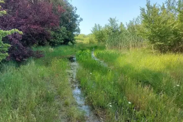 #21170 Area residenziale e turistico-ricettiva da bonificare