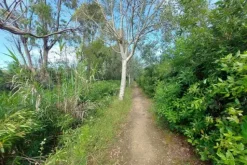 #21170 Area residenziale e turistico-ricettiva da bonificare