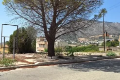 #24276 Area urbana in zona margine completamento