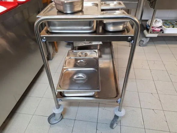 19#8242 Armadio congelatore e carrello inox 2 ripiani