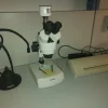17#7923 Attrezzatura da laboratorio