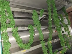 1#9184 Attrezzatura per Supermercato