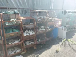 2#8561 Attrezzature e macchine per l'industria calzaturiera