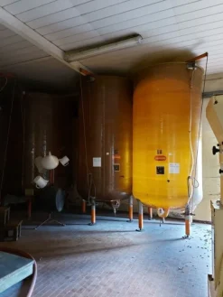4#81150 Attrezzature e macchine per la viticoltura