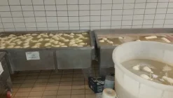 3#6815 Attrezzature per la produzione di formaggi e latticini