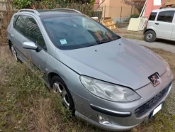 1#8136 Automobile Peugeot 407 SW