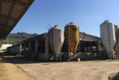 #18960 Azienda agricola con terreni