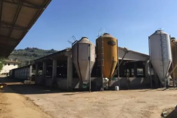 #18960 Azienda agricola con terreni