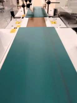 BILANCIA DI LINEA (COD. MF-PK-BIL-109)