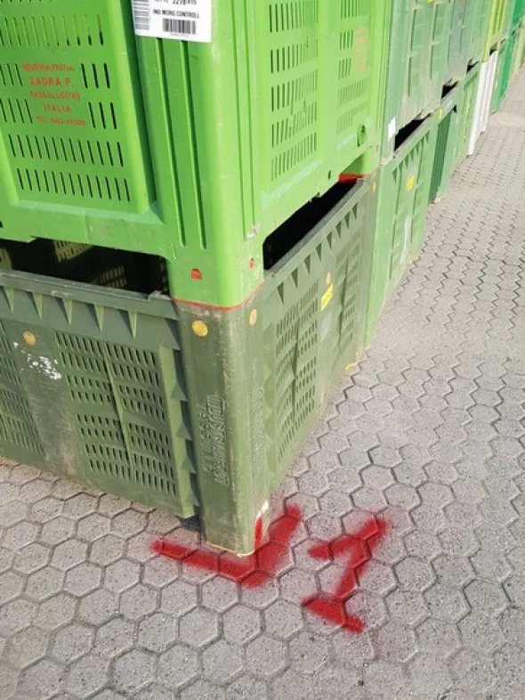 101#5715 Bins per frutta e verdura