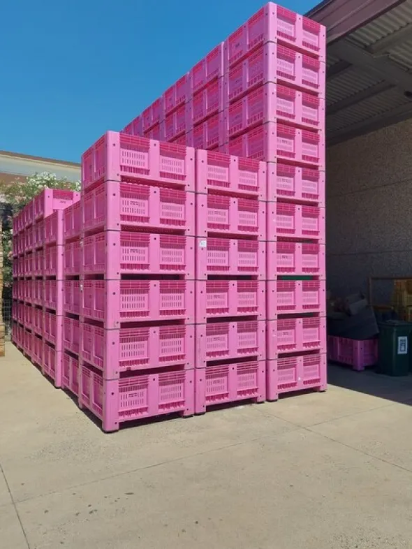 1#8586 Bins per ortofrutta